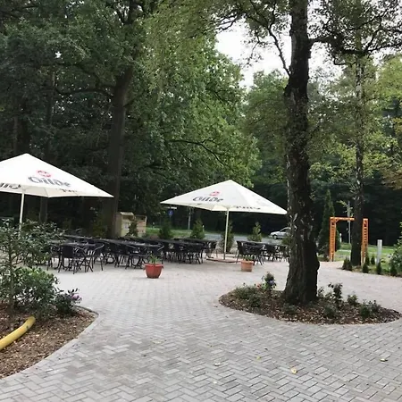 Ambiente Casa de hóspedes Soltau