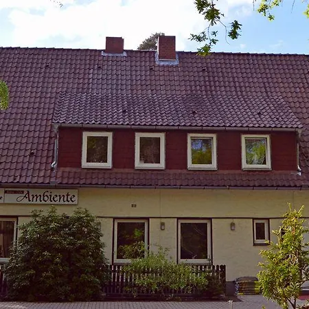 Ambiente Casa de hóspedes 3*